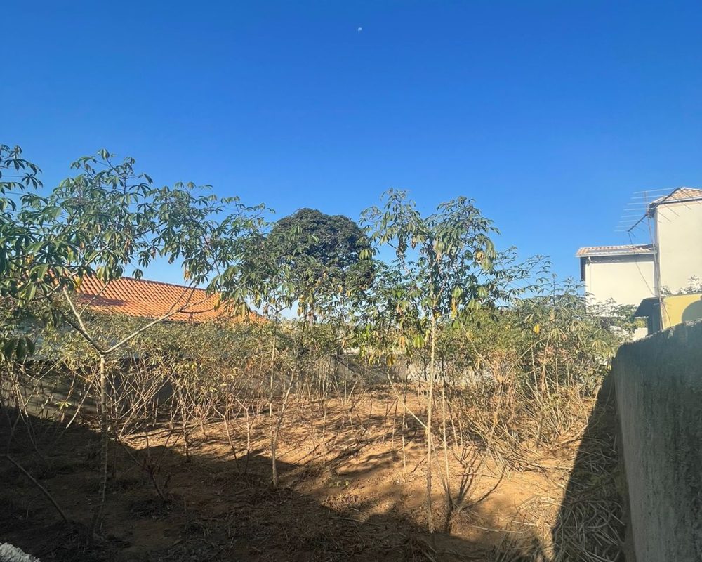 WhatsApp Image 2024-07-15 at 17.19.47