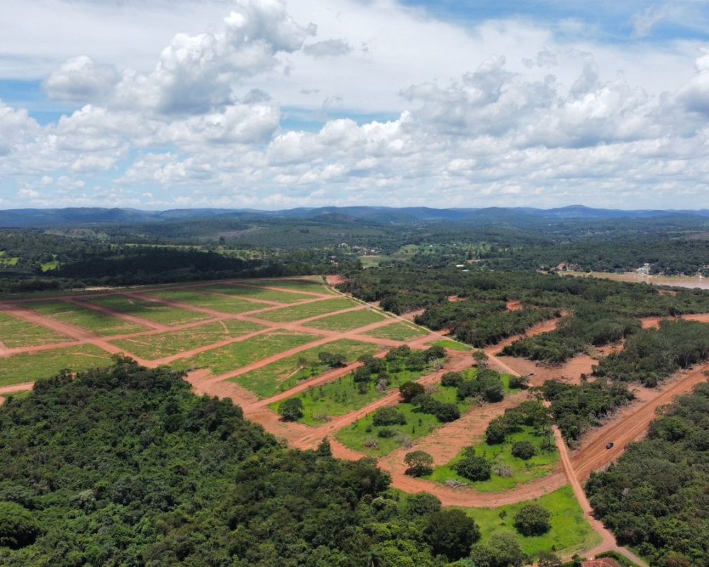 WhatsApp Image 2025-01-20 at 10.45.10