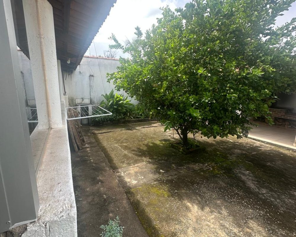 WhatsApp Image 2025-01-29 at 20.36.37