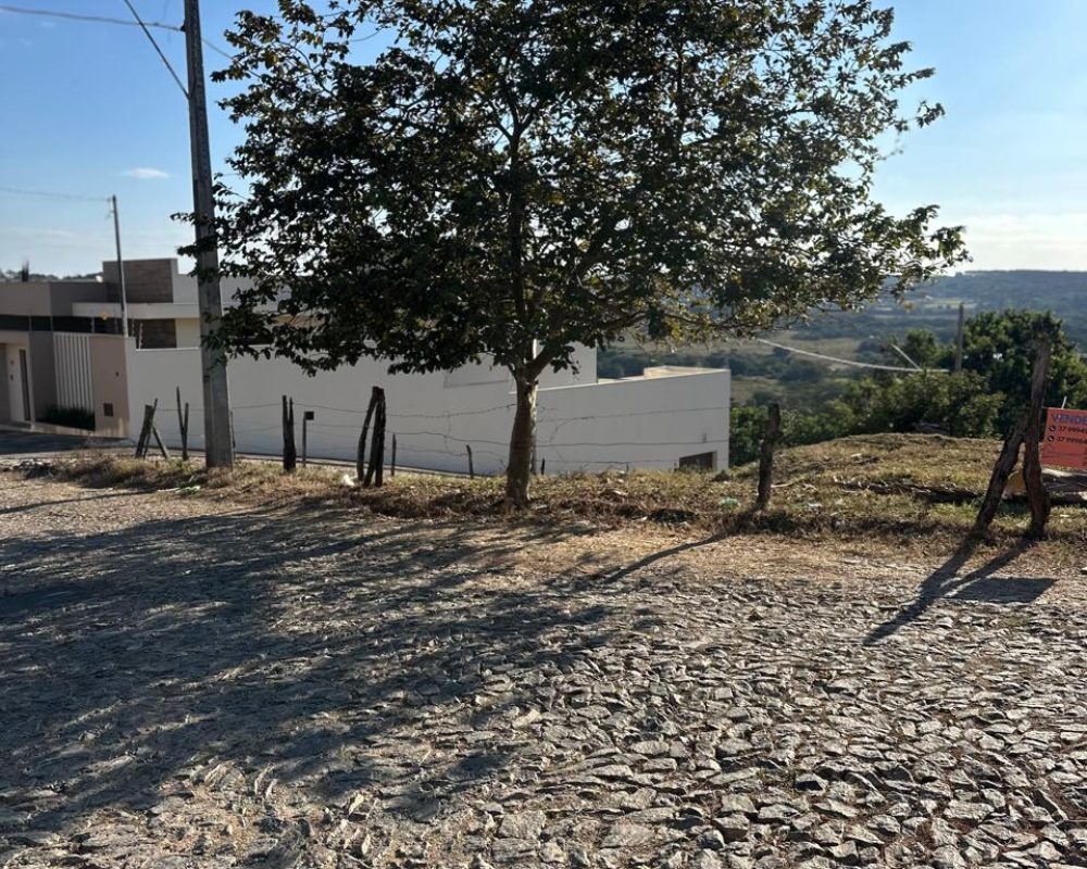 WhatsApp Image 2025-07-15 at 16.10.23