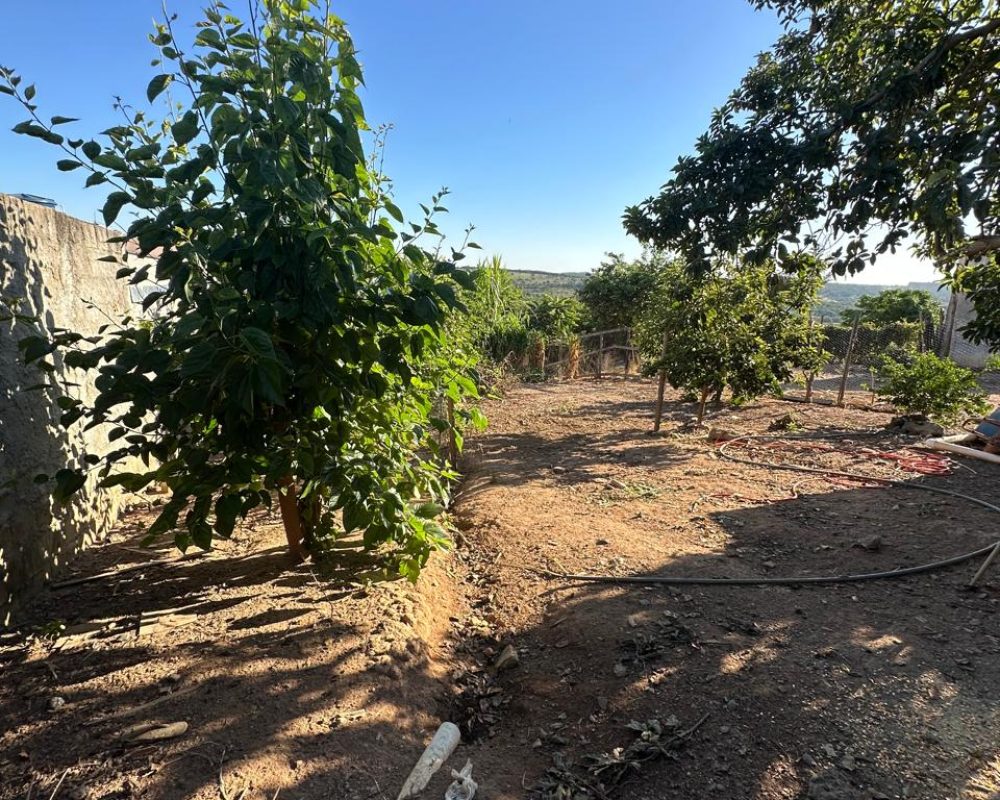 WhatsApp Image 2026-02-27 at 16.08.26 (3)