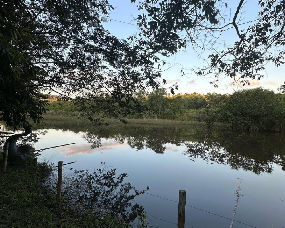 WhatsApp Image 2026-03-31 at 10.25.15 (3)