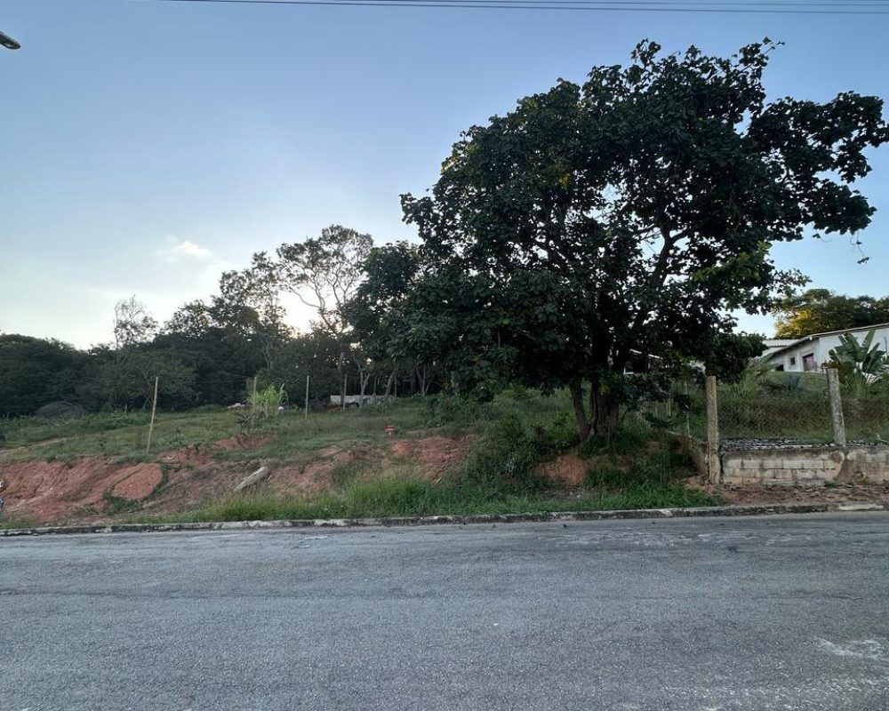 WhatsApp Image 2026-03-31 at 10.25.16